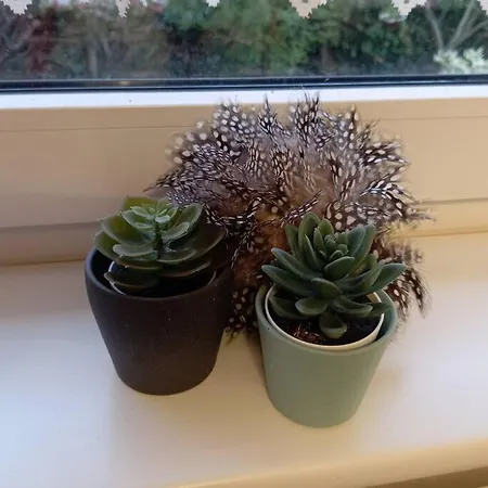 Im Gruenen In Messenaehe