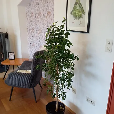 Im Gruenen In Messenaehe Lägenhet
