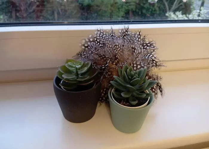 Im Gruenen In Messenaehe