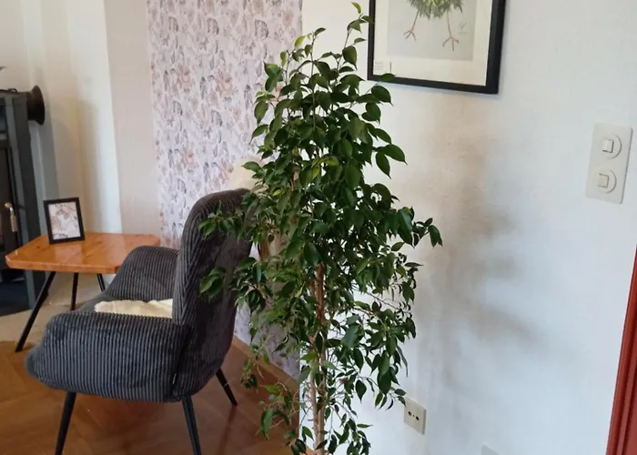 Im Gruenen In Messenaehe Lejlighed