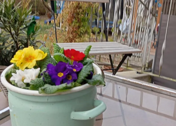 Im Gruenen In Messenaehe *